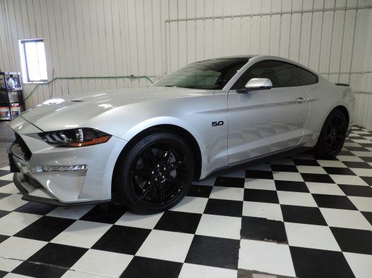 2019 Ford Mustang GT Silver 003