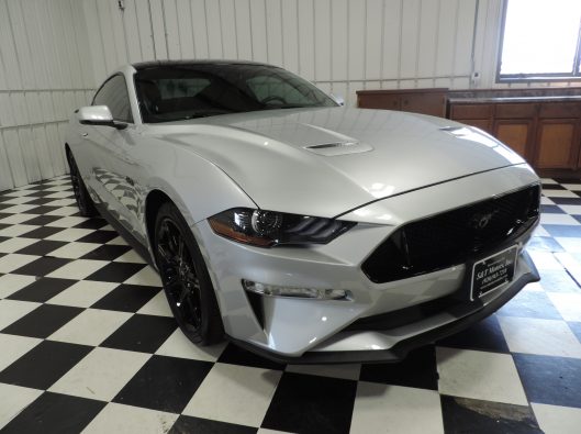 2019 Ford Mustang GT Silver 009