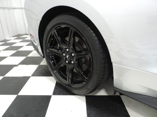 2019 Ford Mustang GT Silver 014
