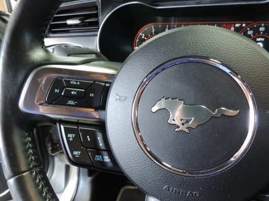 2019 Ford Mustang GT Silver 037