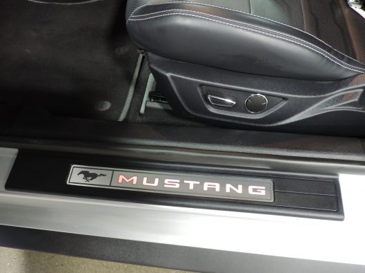 2019 Ford Mustang GT Silver 039