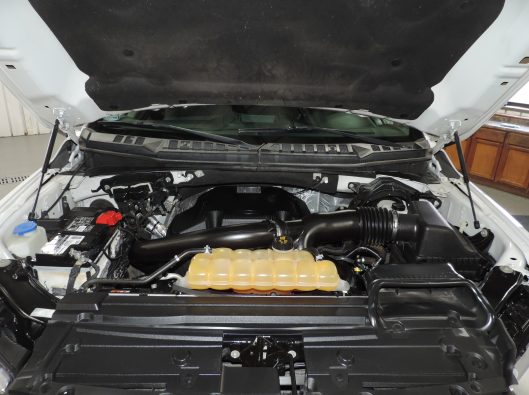 2018 Ford F150 White 025